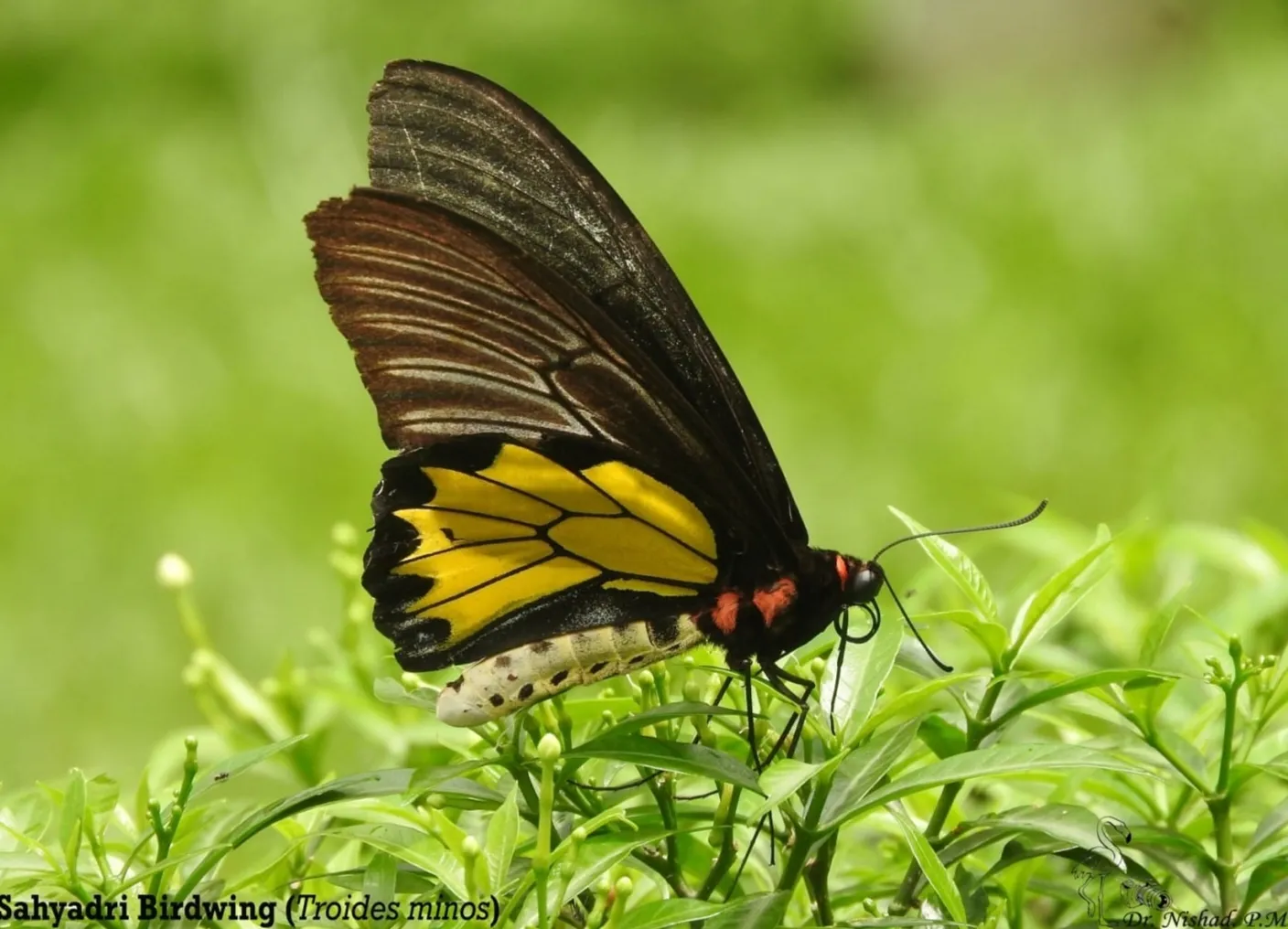 Biodiversity image 7