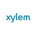 xylem
