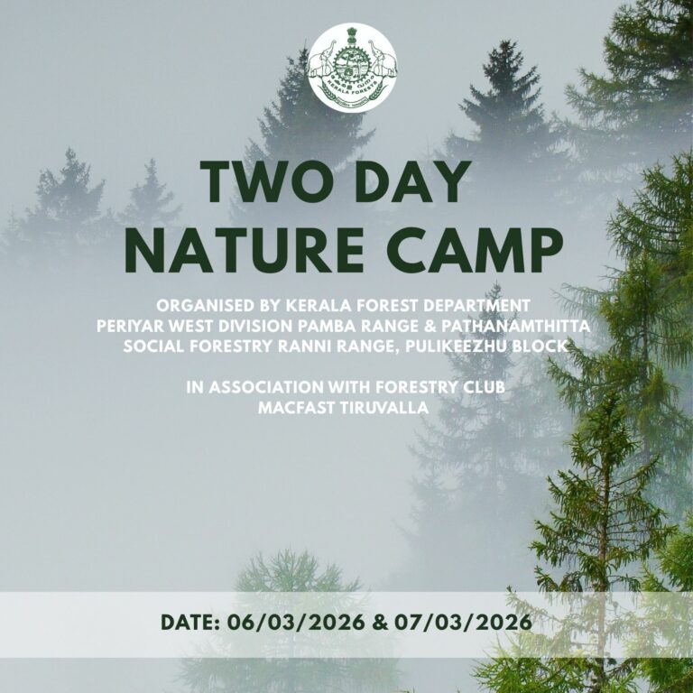 Nature camp2 20260306 065227 0000